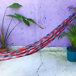 Monkey House Rio